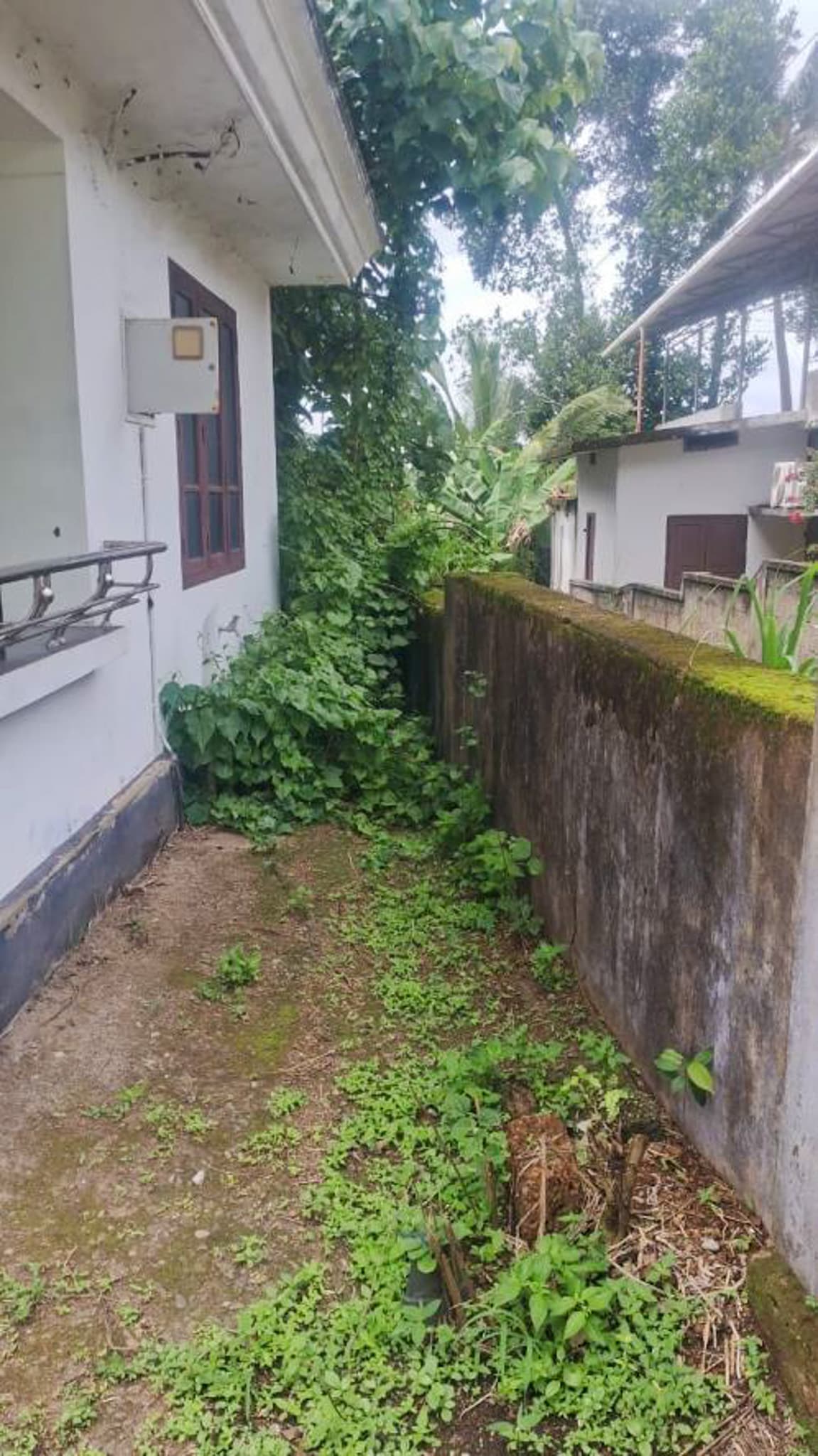 Property Photos 3