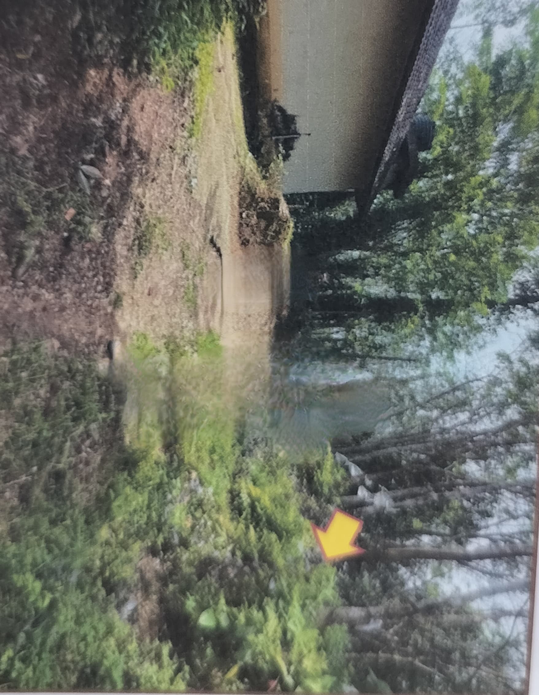 Property Photos 2
