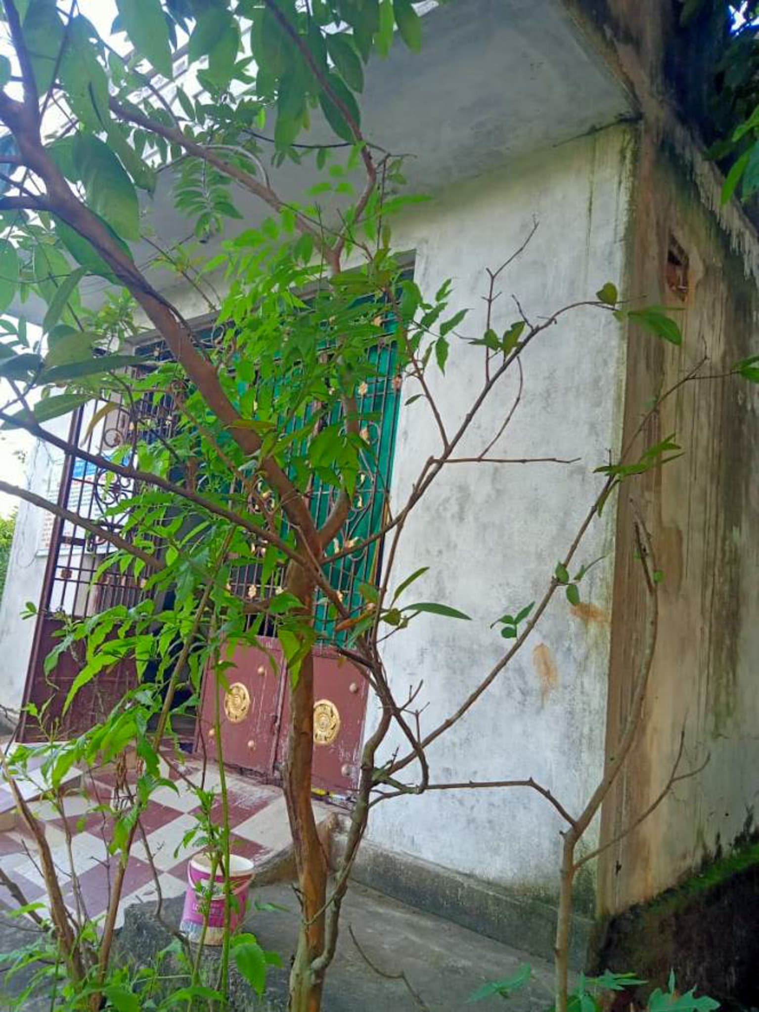 Property Photos 6