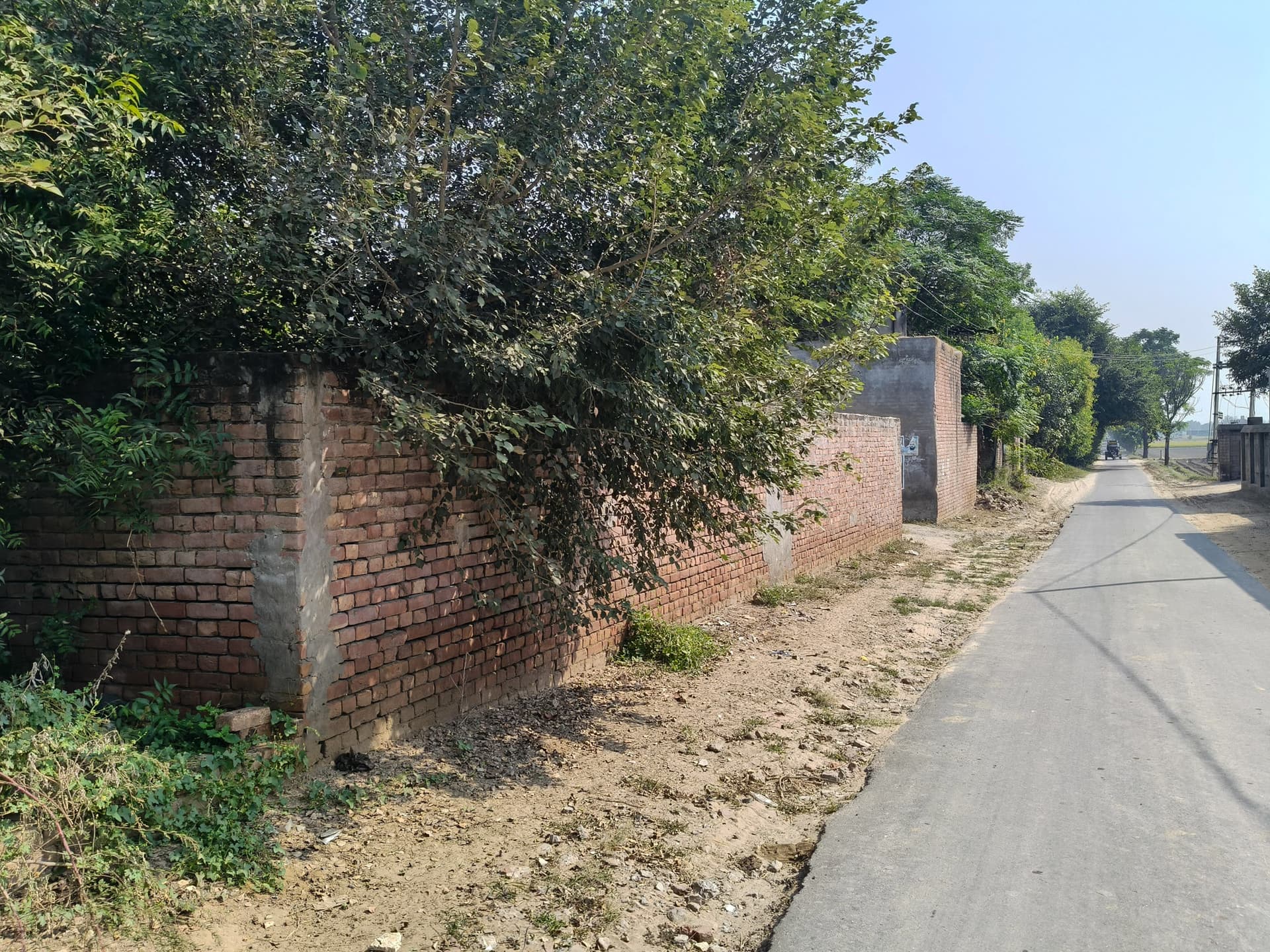 Property Photos 8