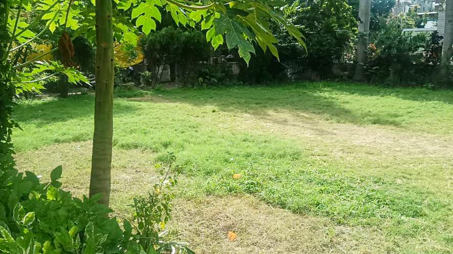 Property Photos 97