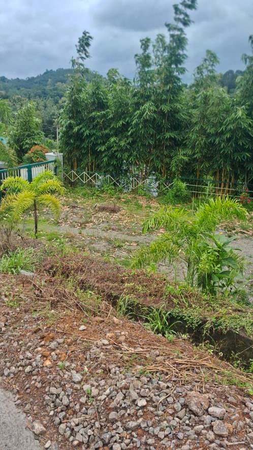 Property Photos 6