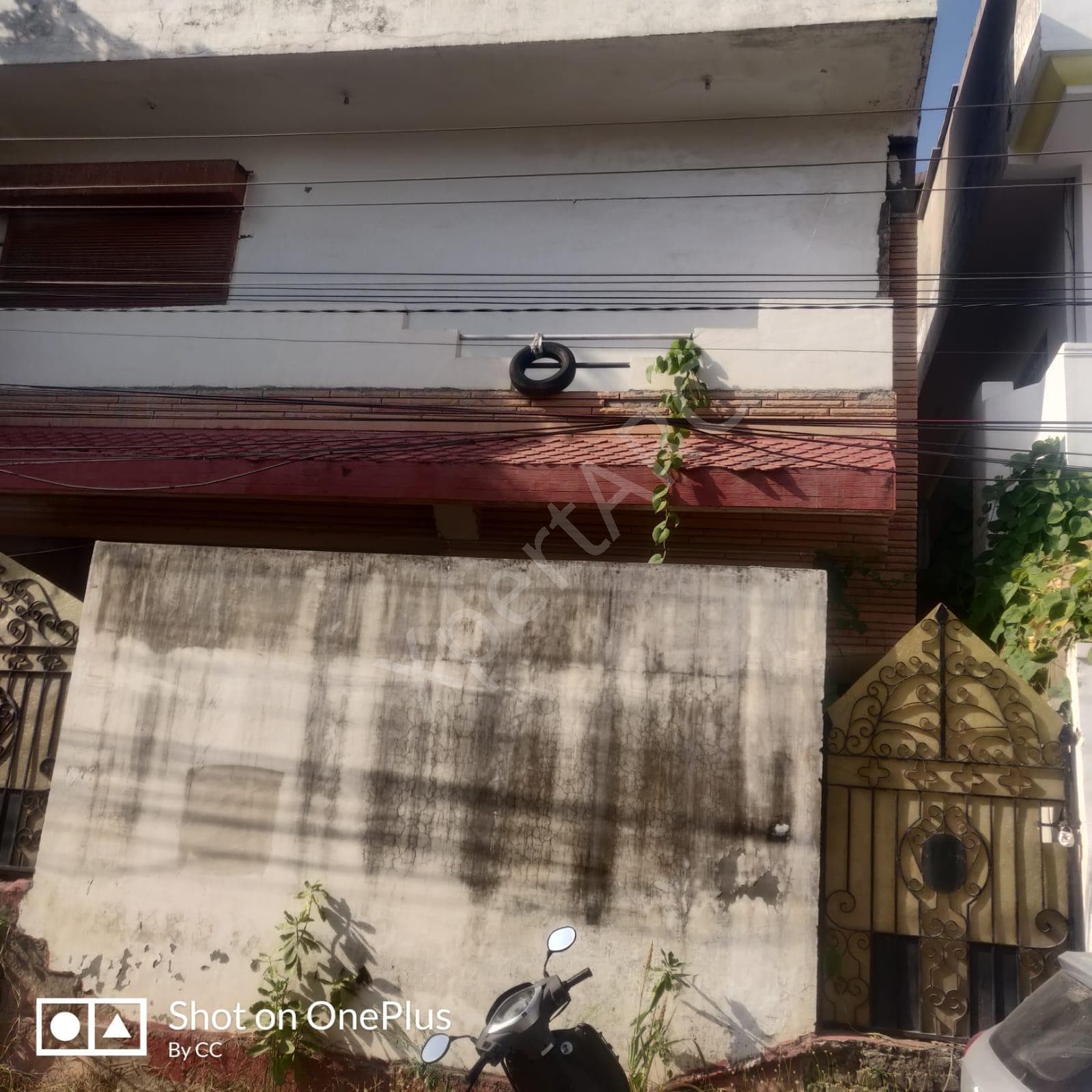 Property Photos 4