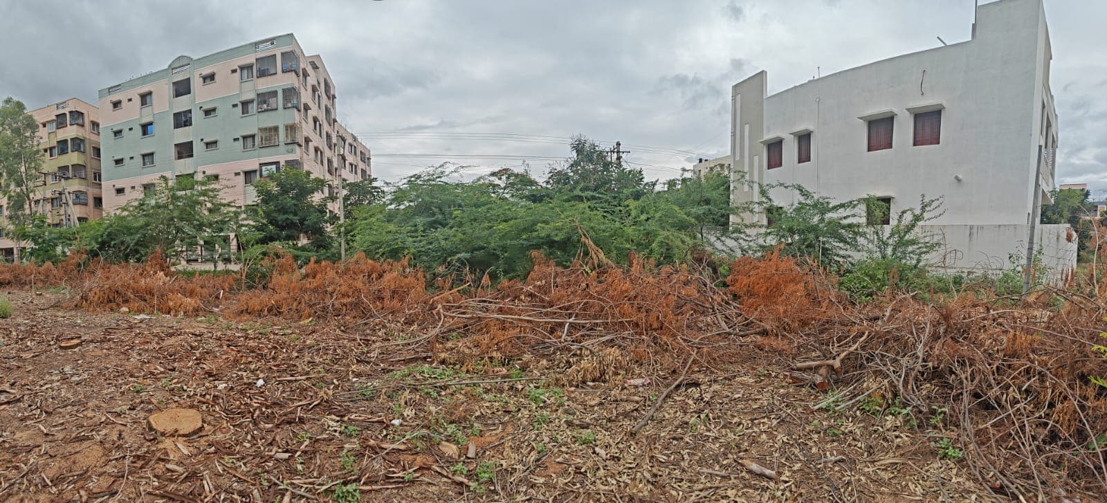 Property Photos 6