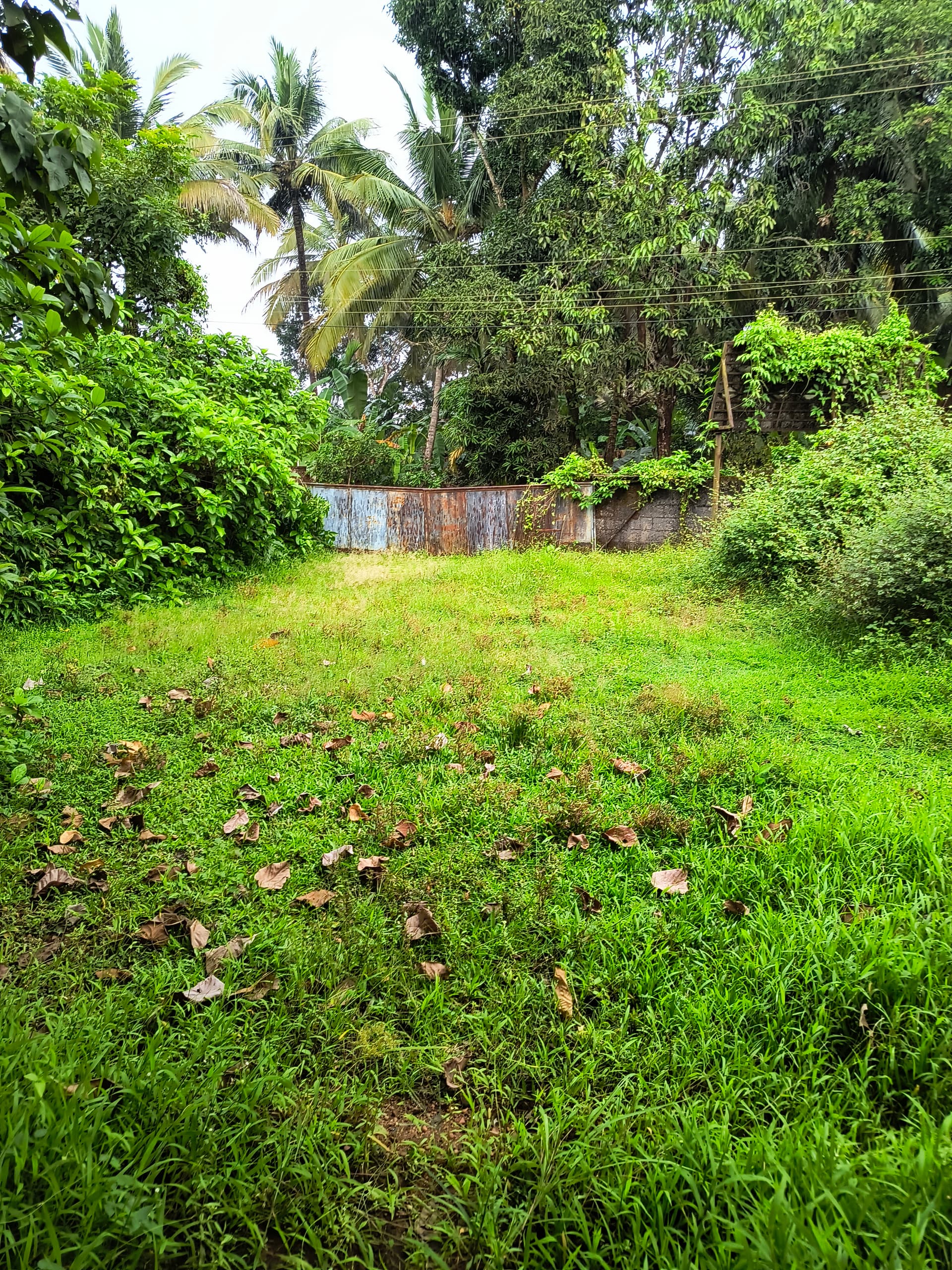 Property Photos 7