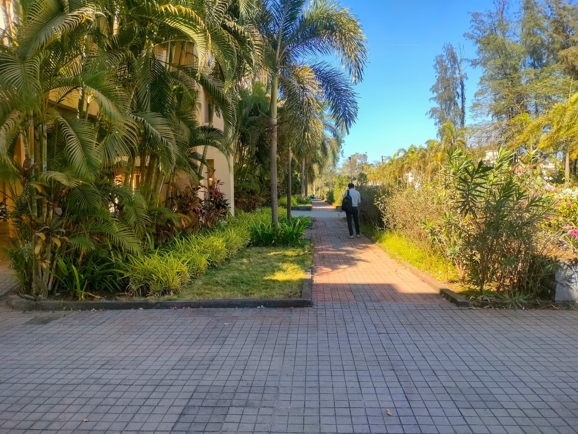 Property Photos 6