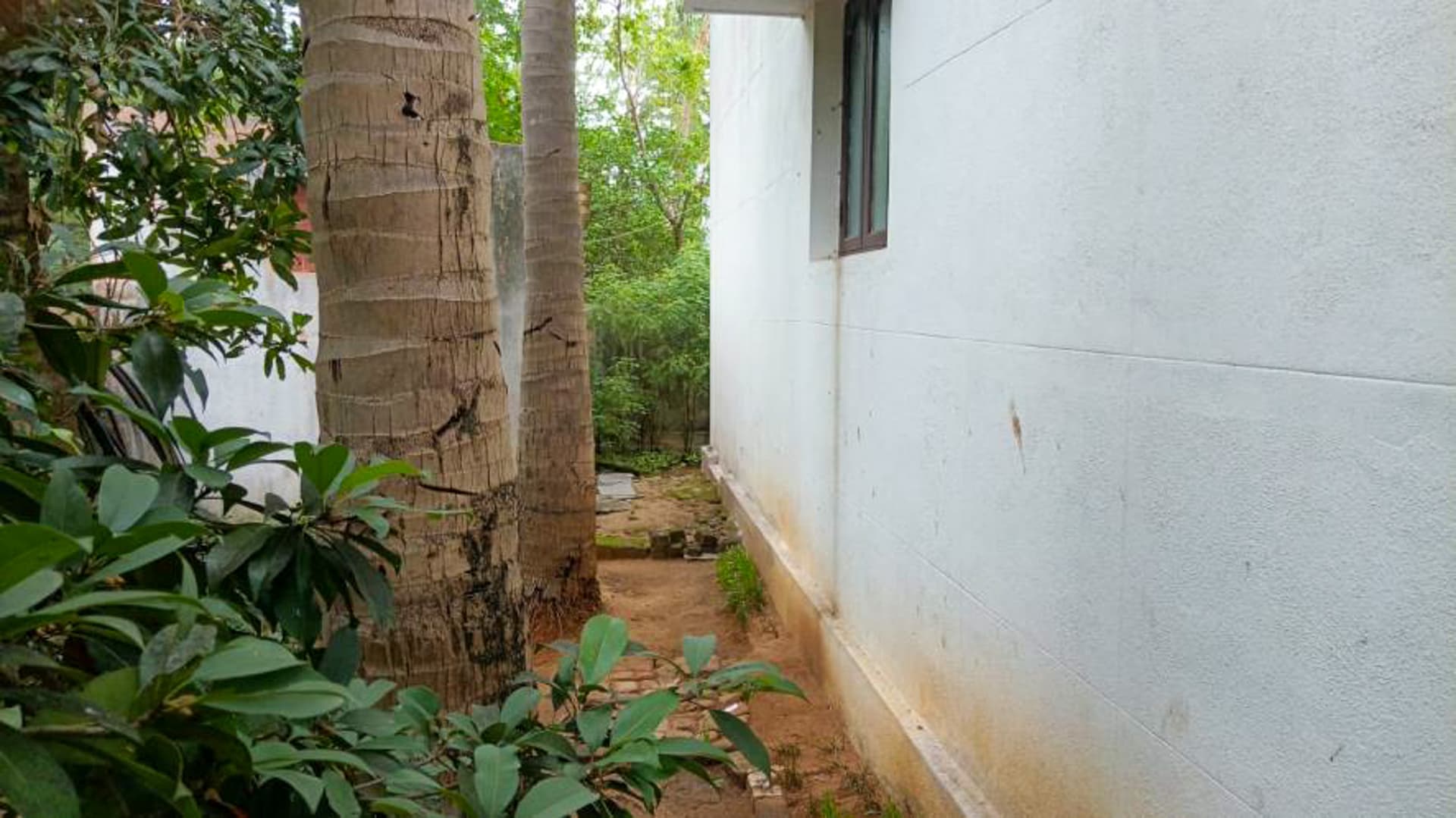 Property Photos 5