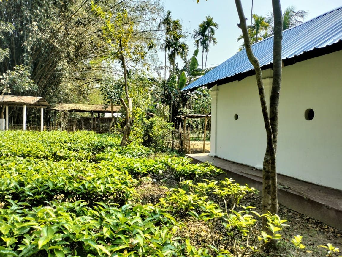 Property Photos 2