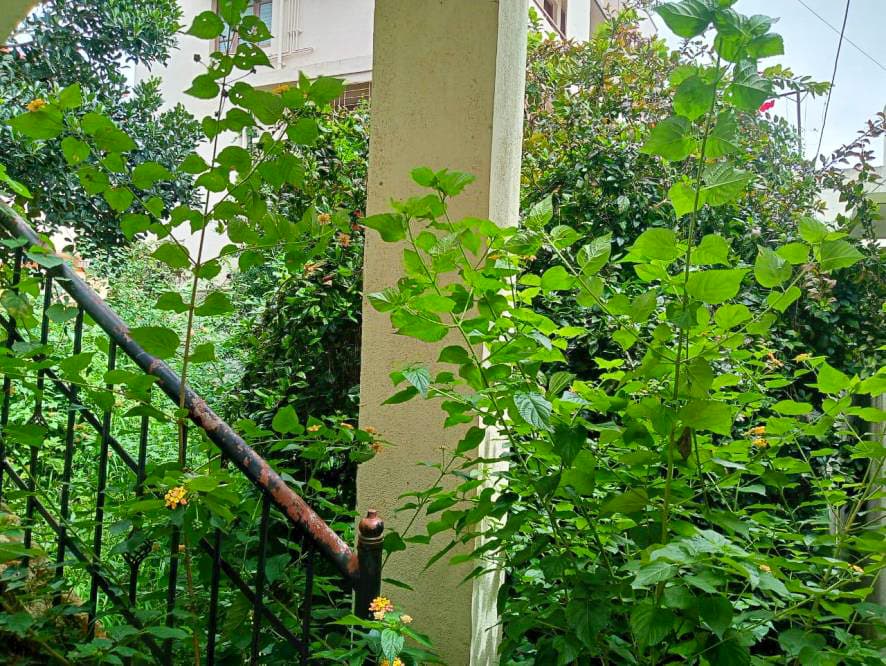 Property Photos 27
