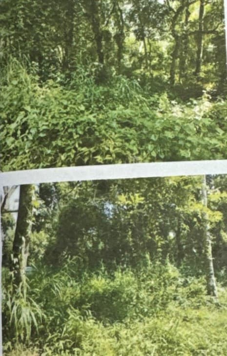 Property Photos 2