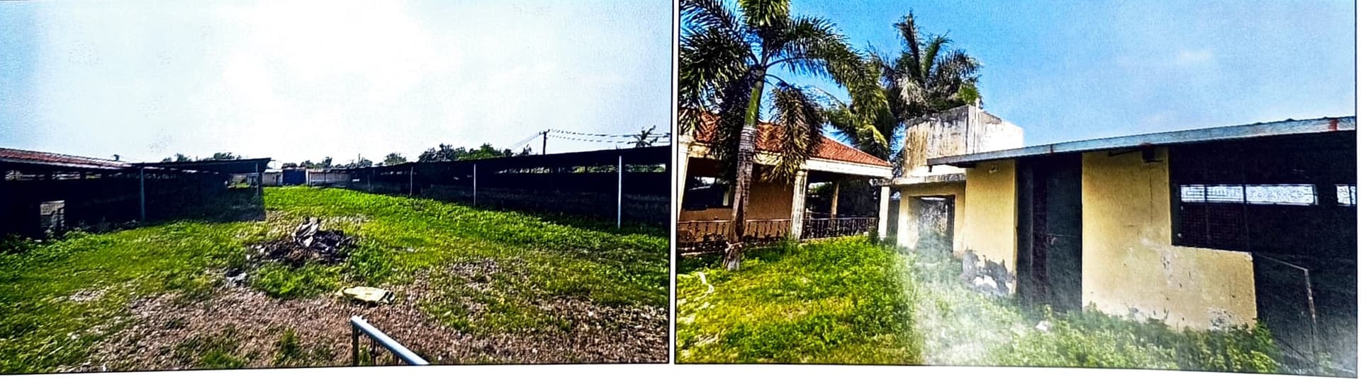 Property Photos 4