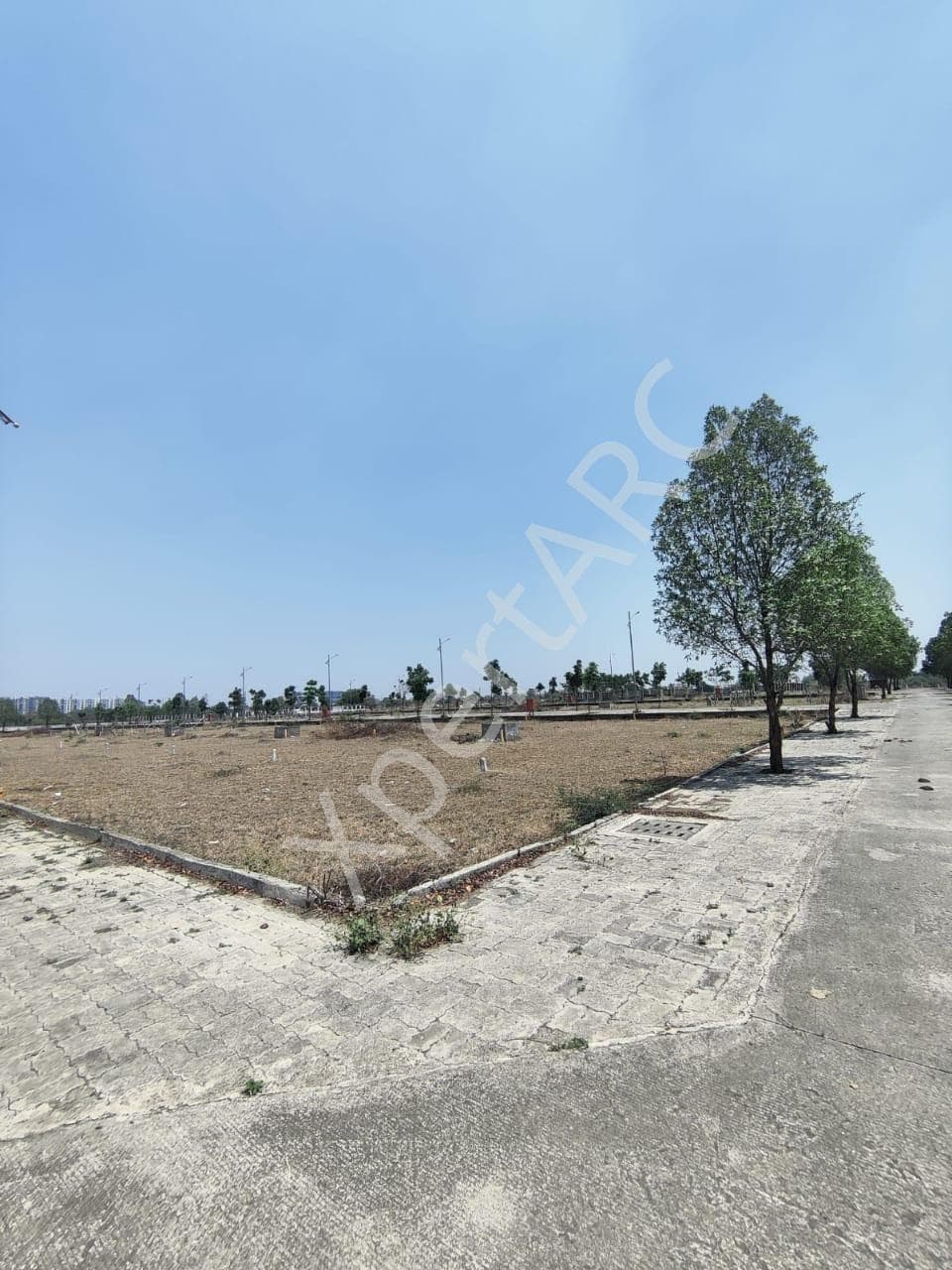 Property Photos 8