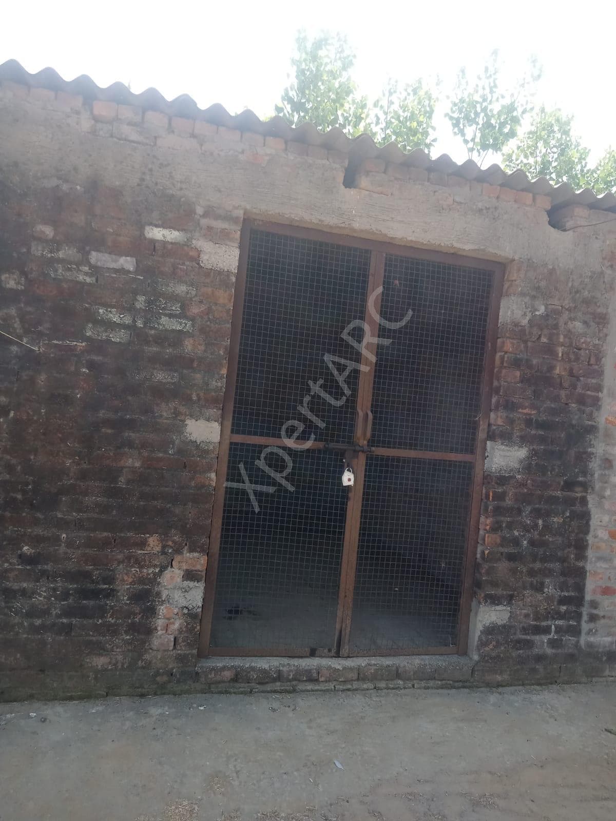 Property Photos 5