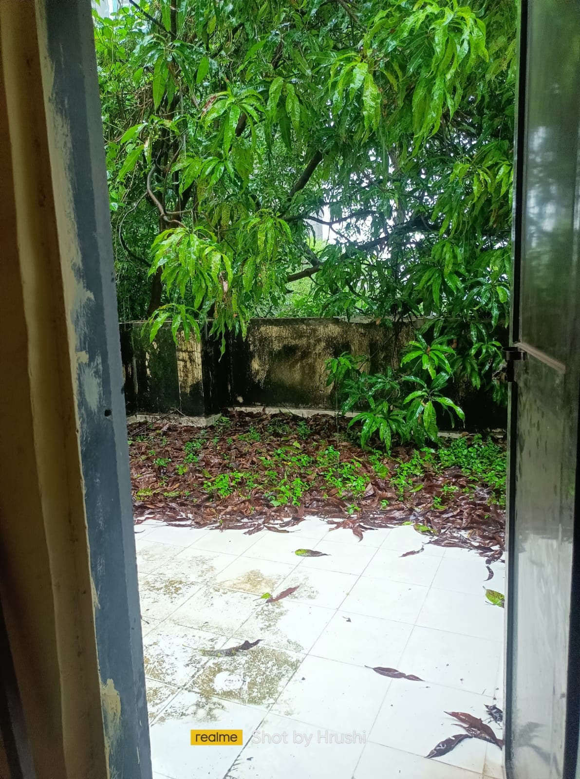 Property Photos 18