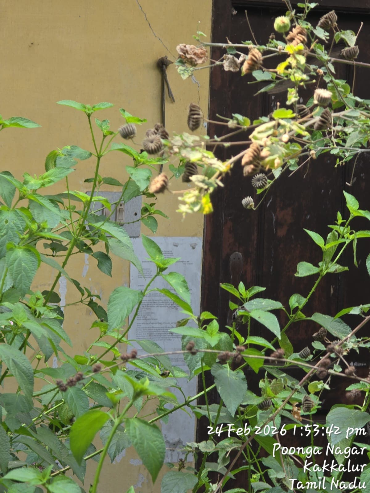 Property Photos 6