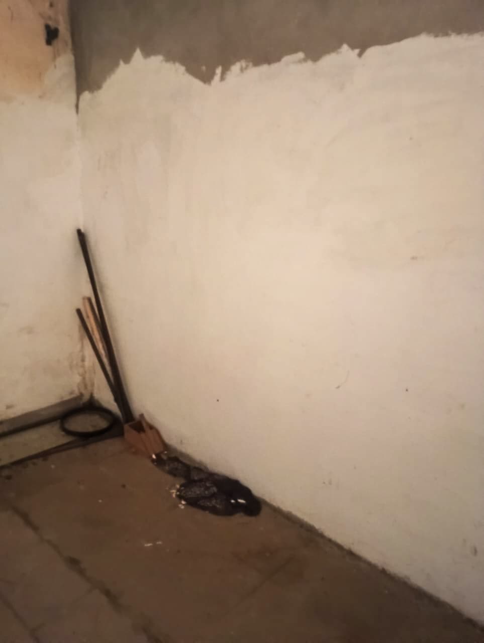 Property Photos 9