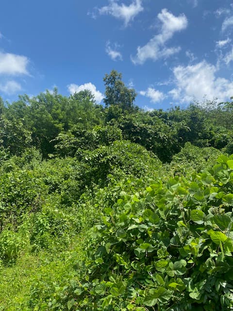 Property Photos 2