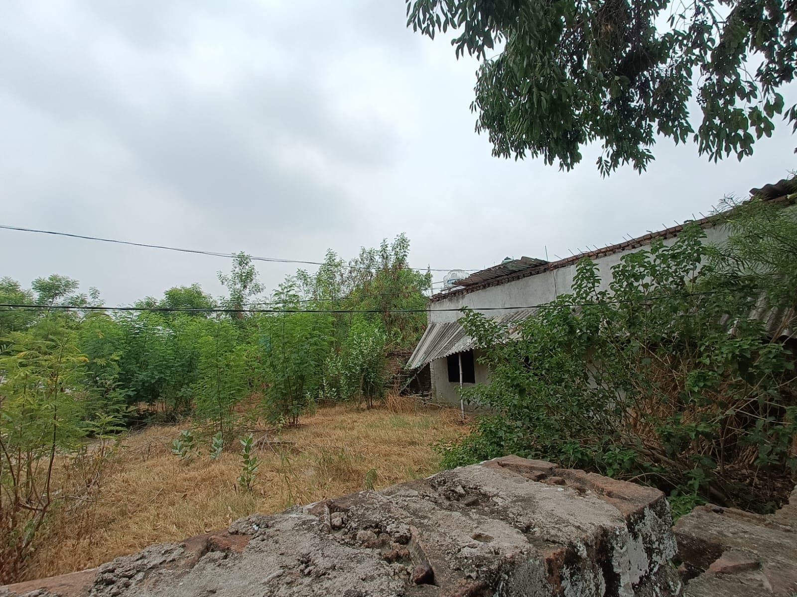 Property Photos 1