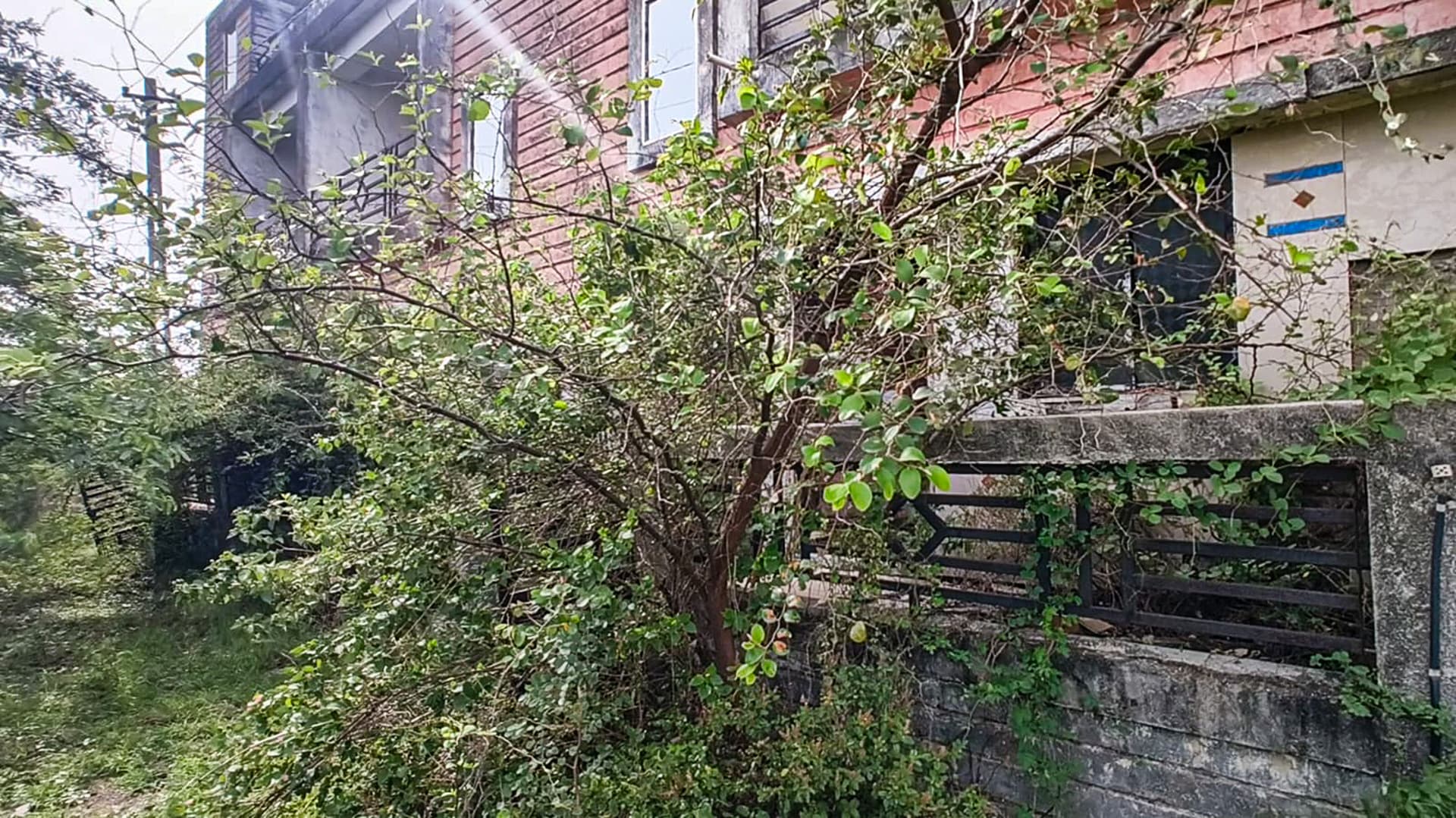 Property Photos 3