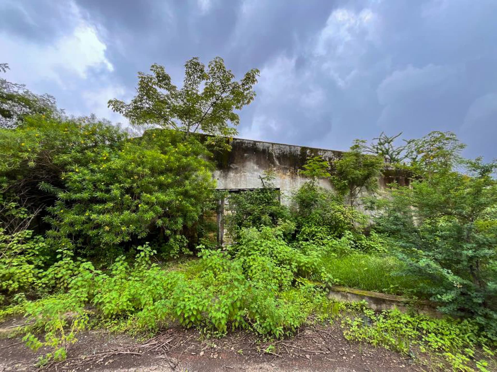 Property Photos 17