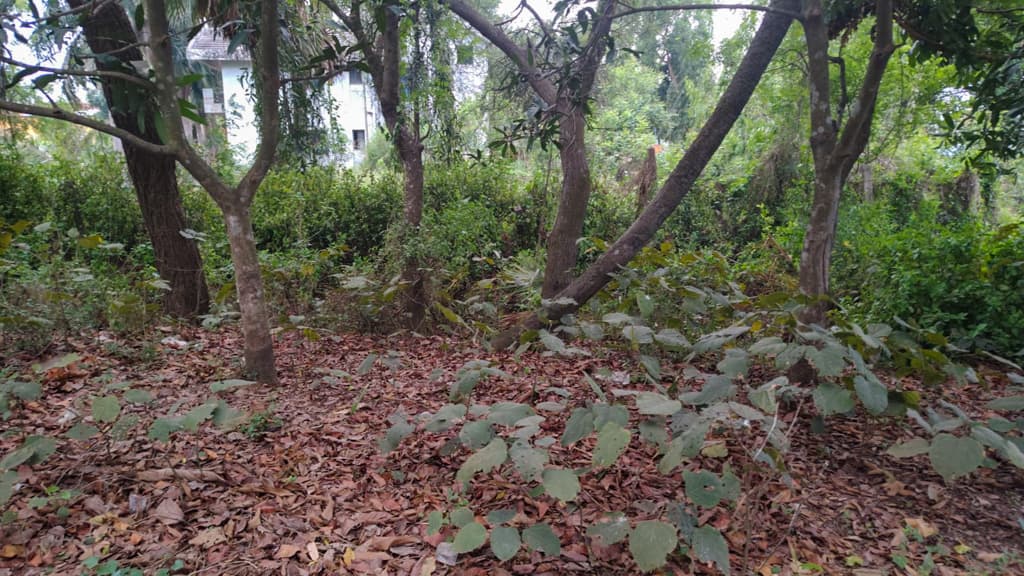 Property Photos 5