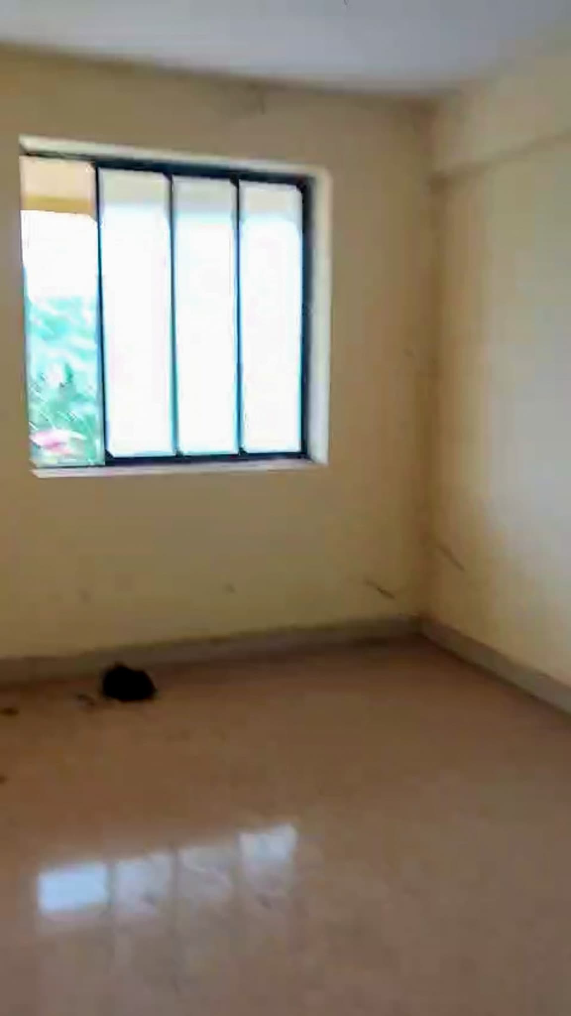 Property Photos 8