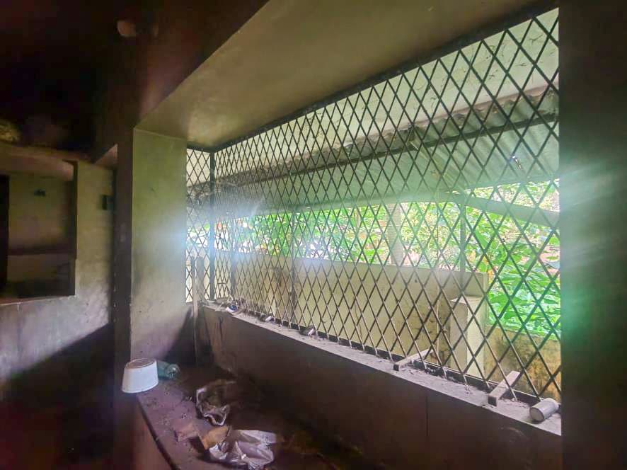 Property Photos 18