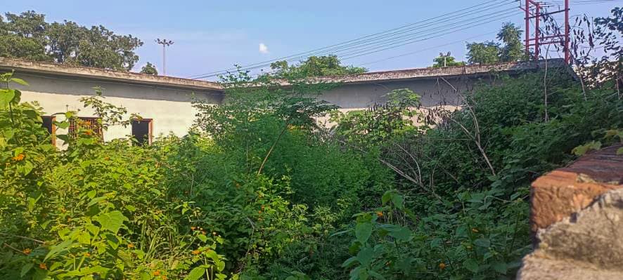 Property Photos 4