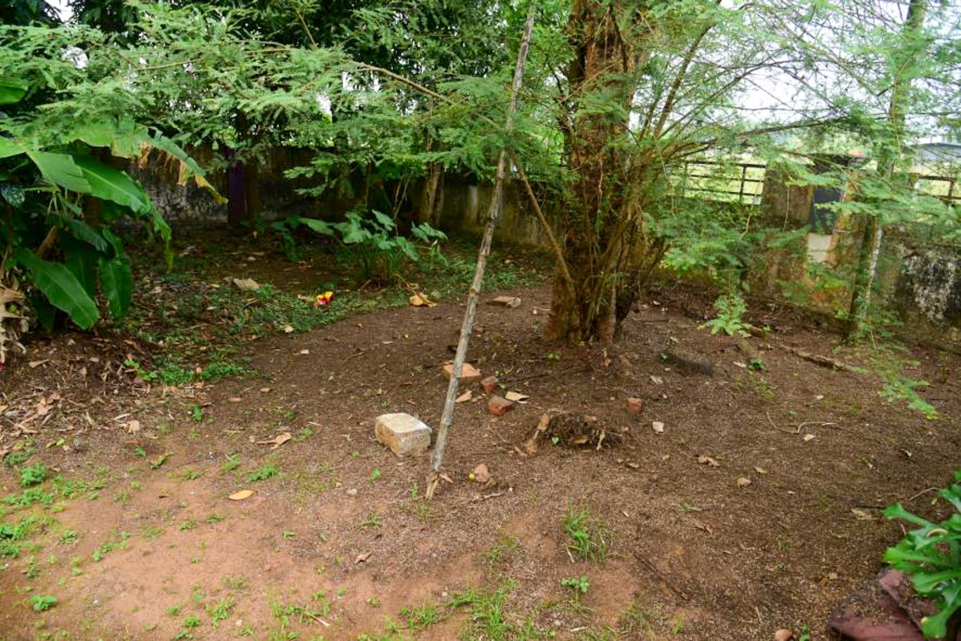 Property Photos 2