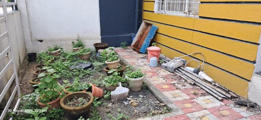 Property Photos 38