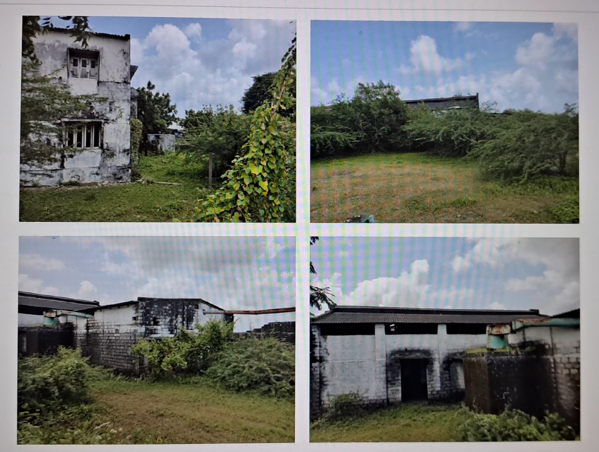 Property Photos 3