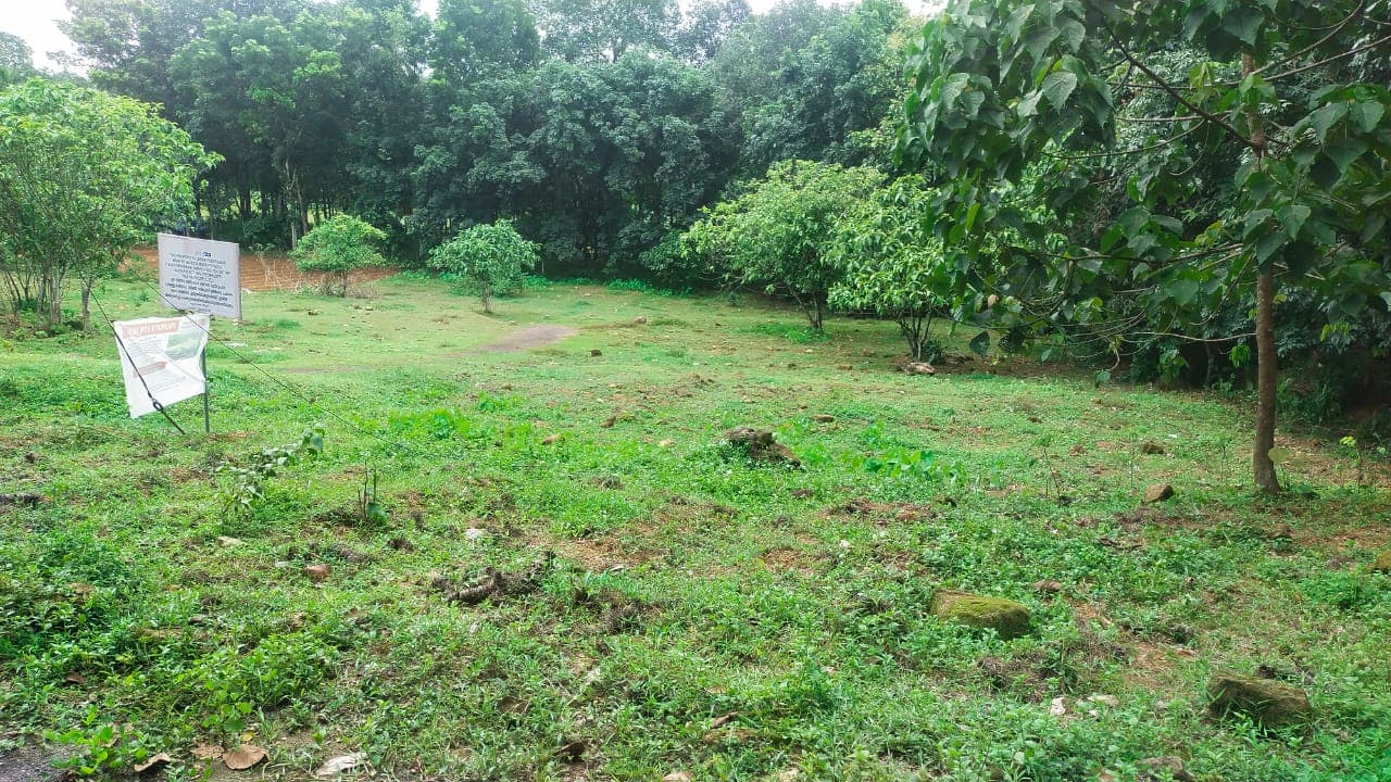 Property Photos 2
