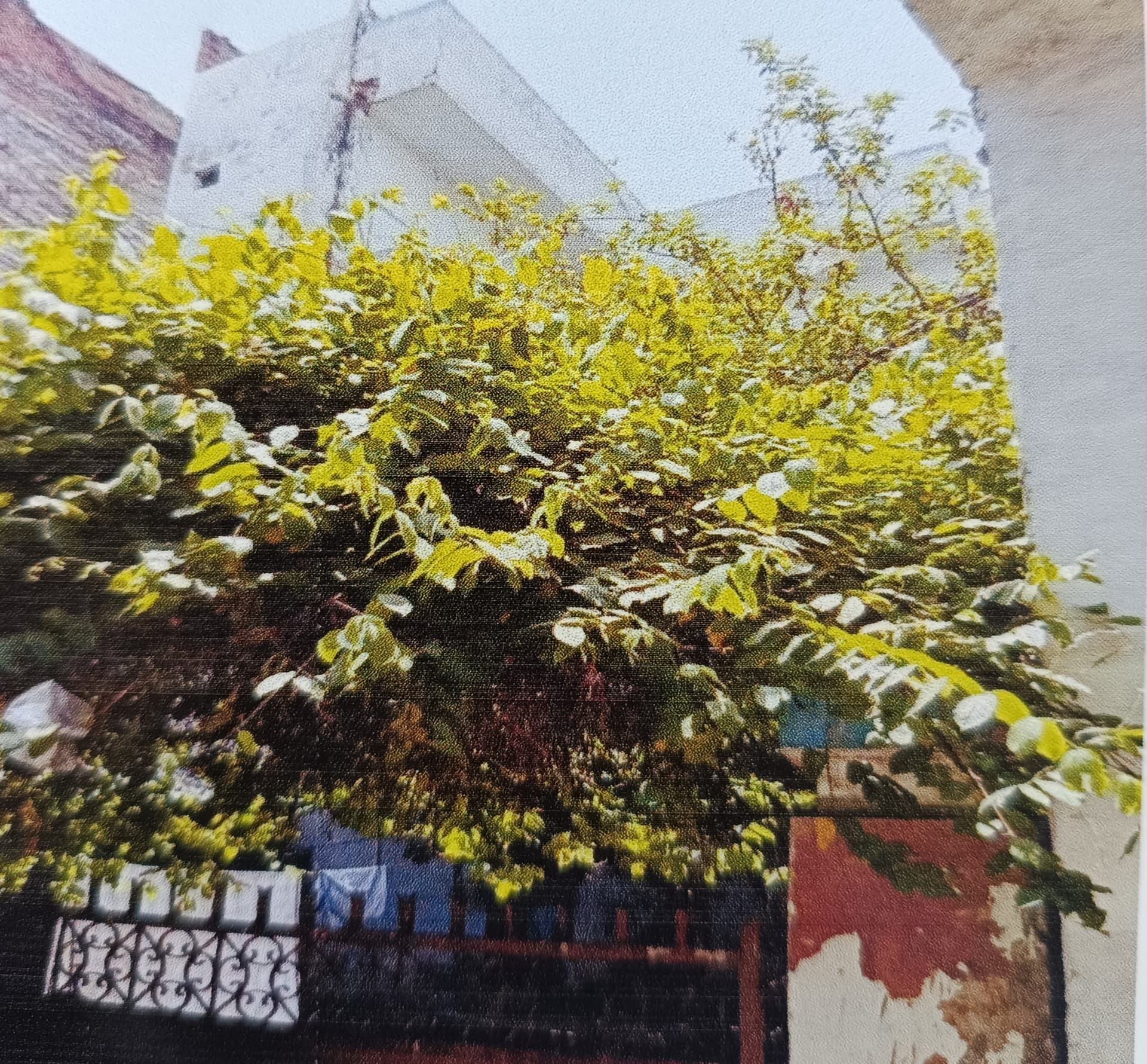 Property Photos 4