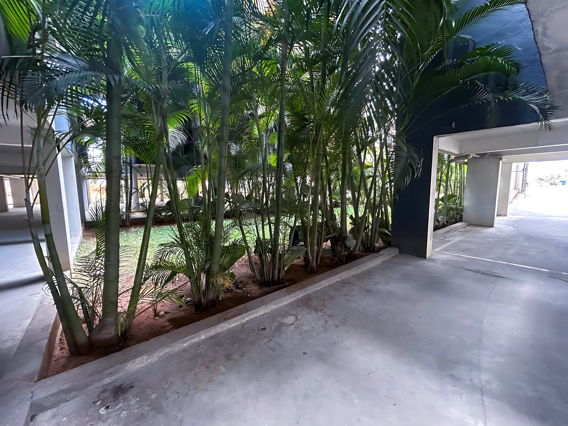 Property Photos 25