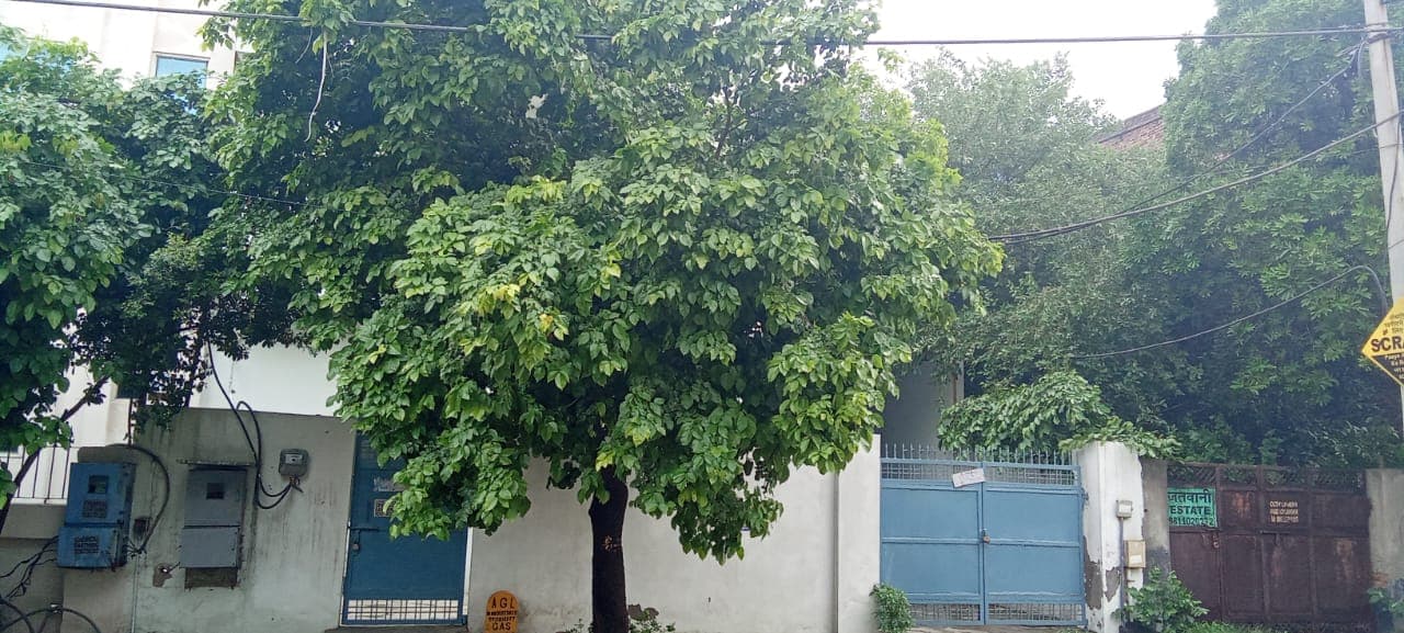 Property Photos 3