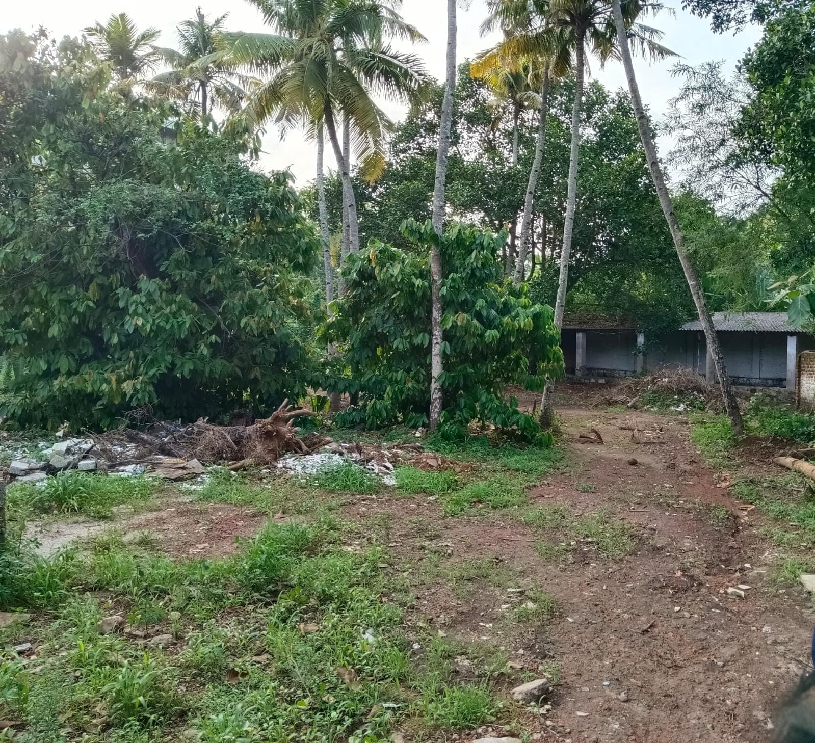 Property Photos 2