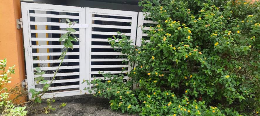 Property Photos 17