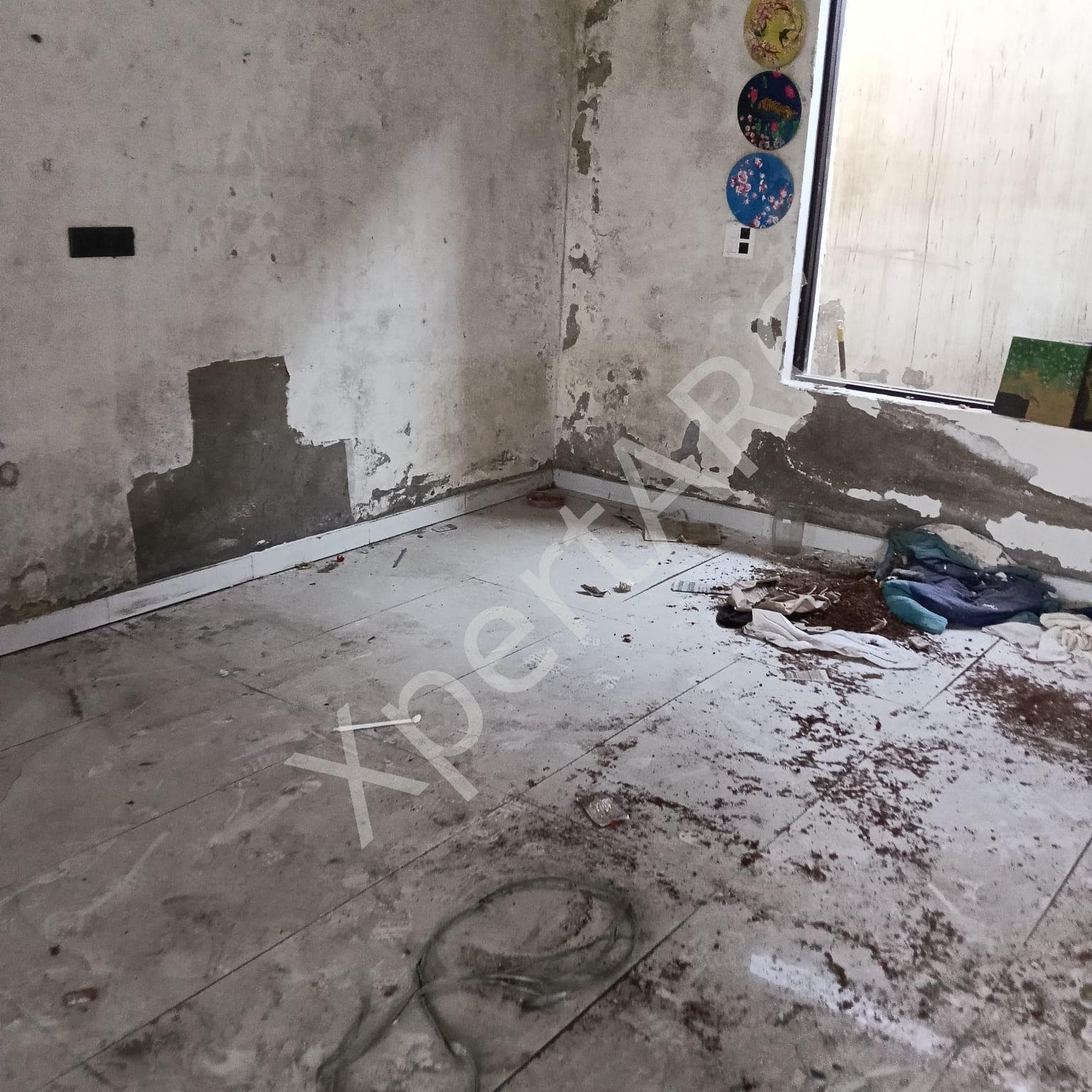 Property Photos 9