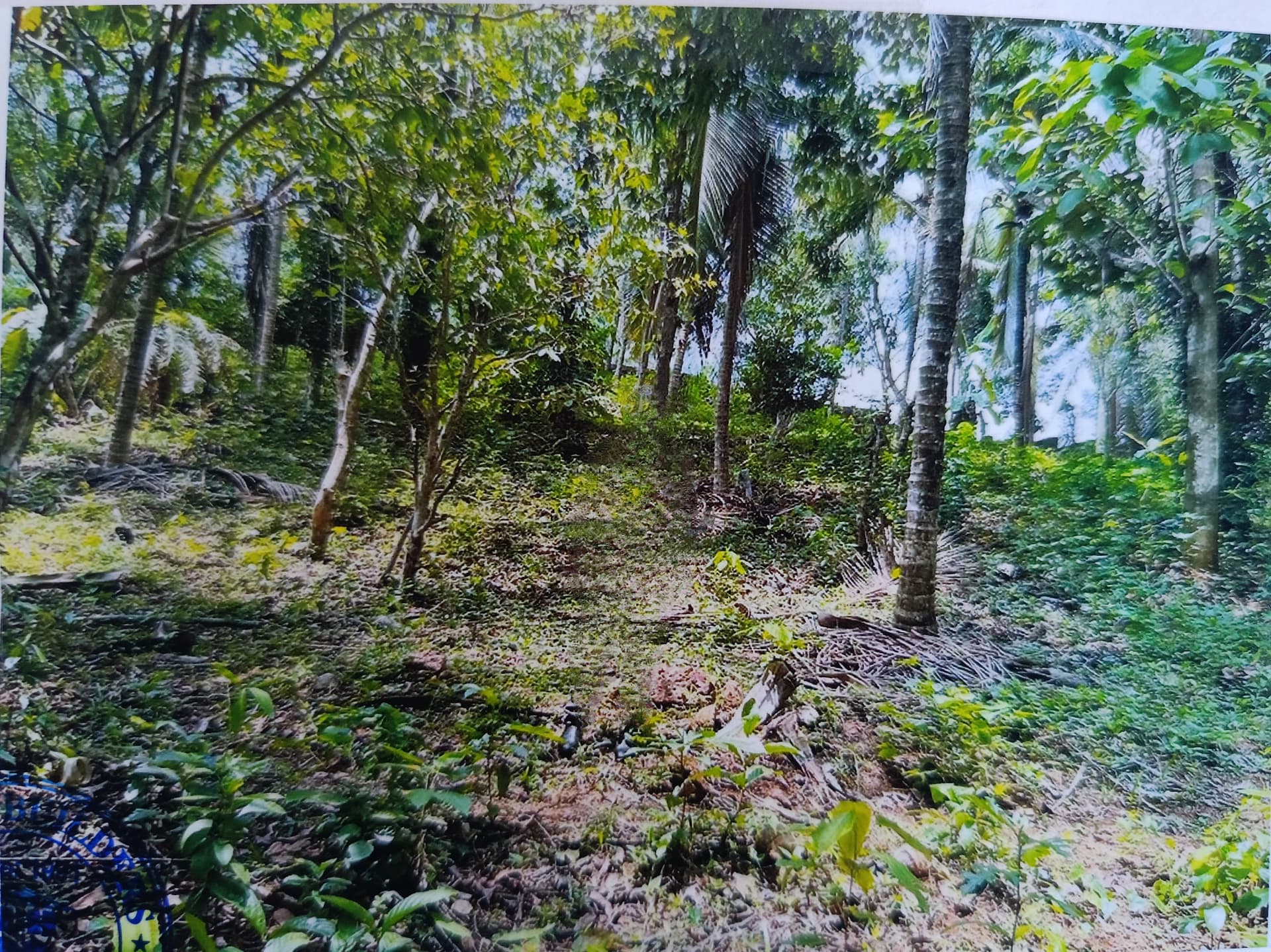 Property Photos 6