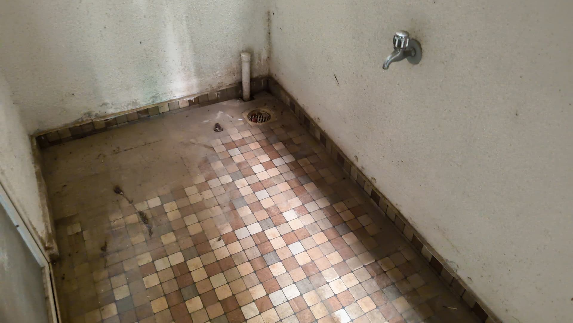 Property Photos 8