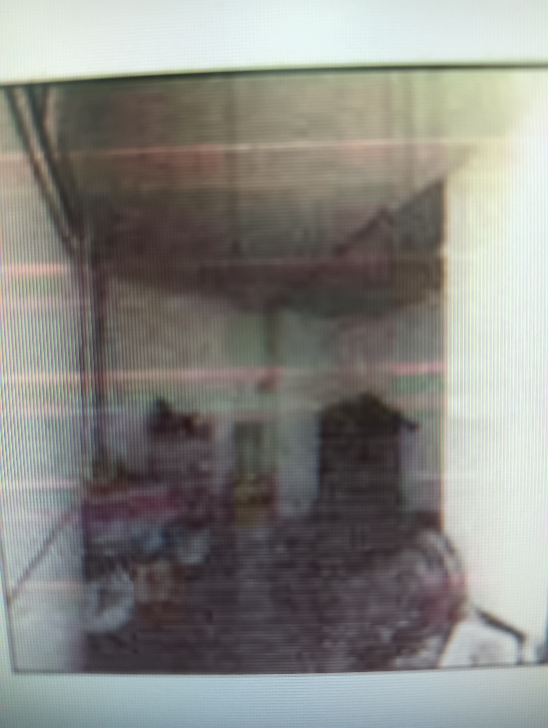 Property Photos 3