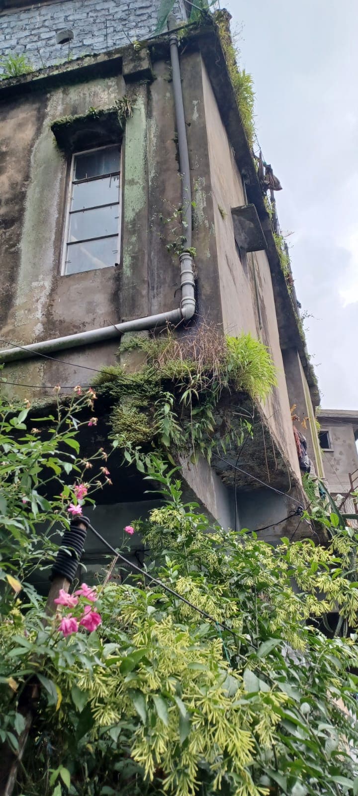Property Photos 3