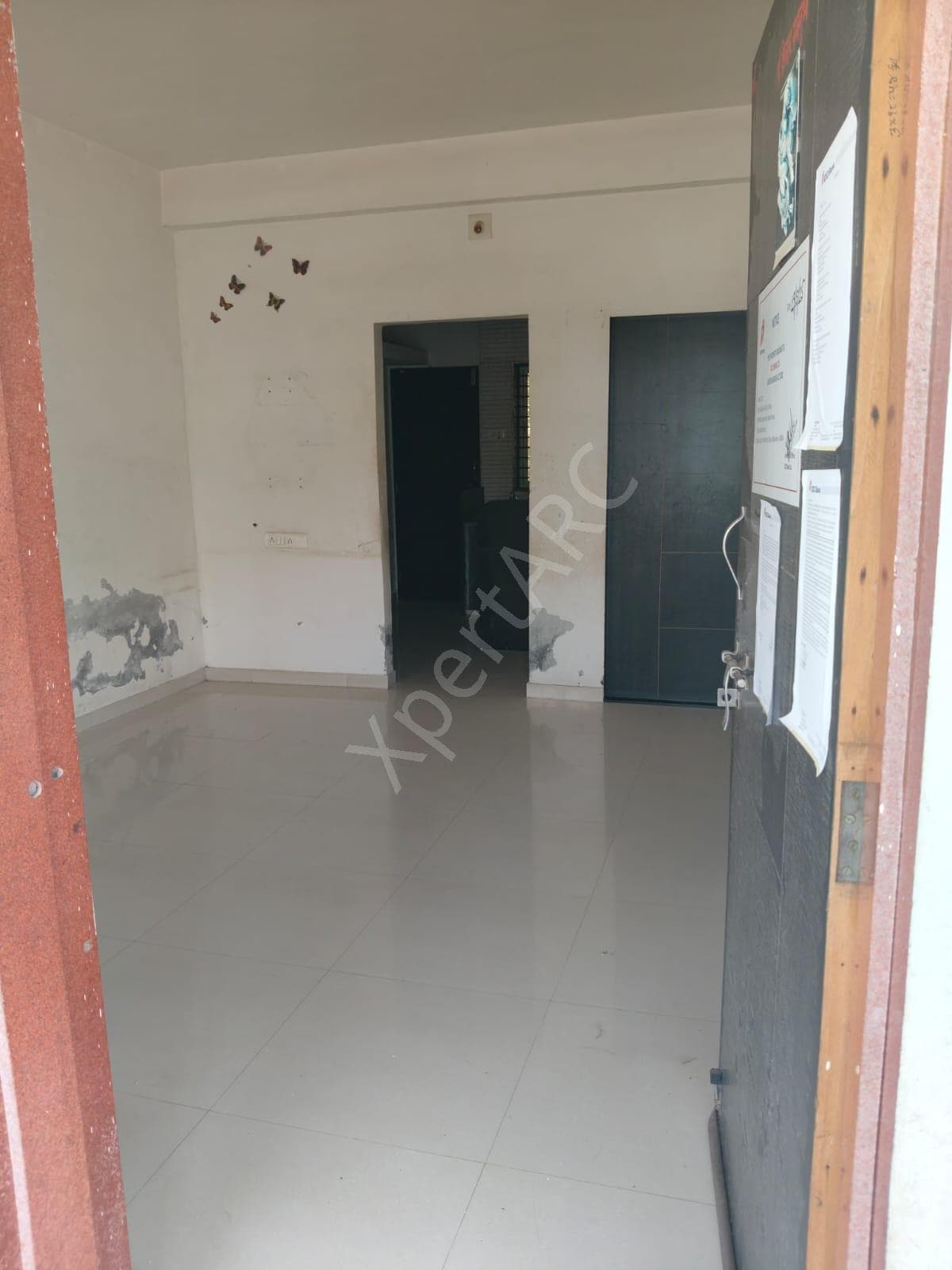 Property Photos 2