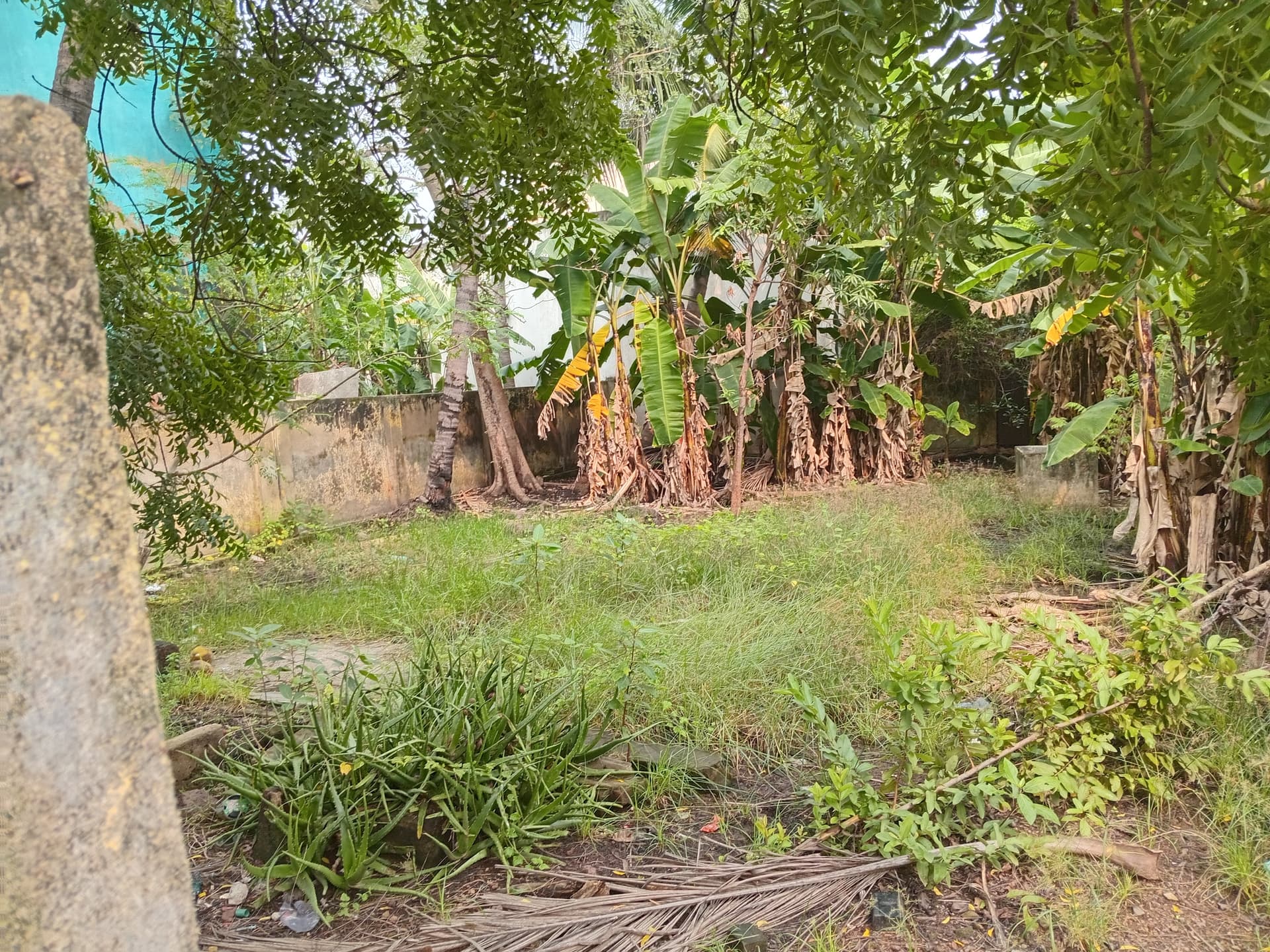 Property Photos 2