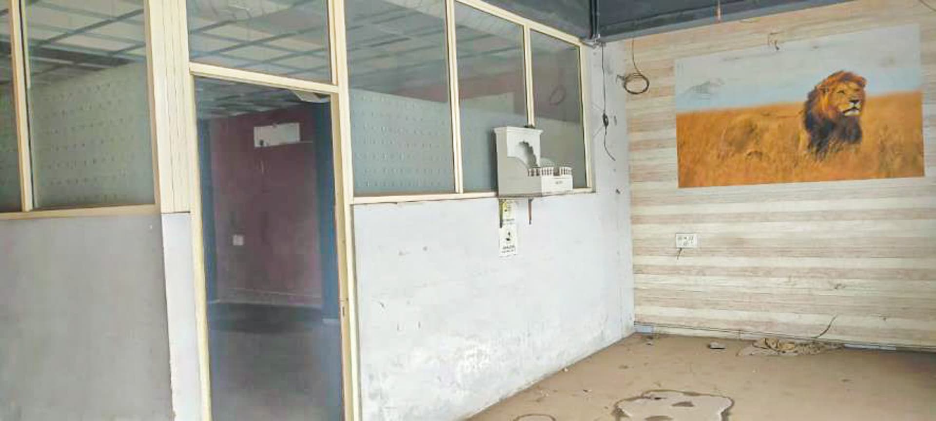 Property Photos 7