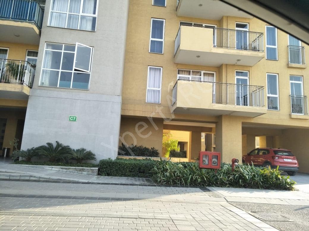 Property Photos 7
