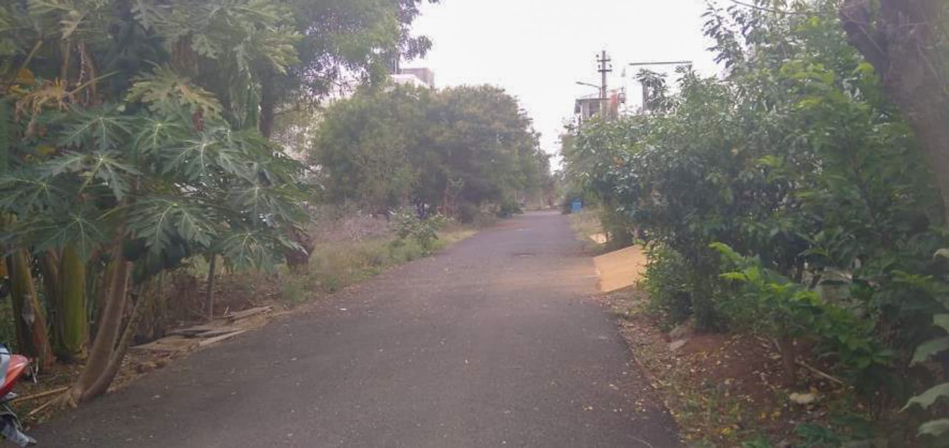 Property Photos 6