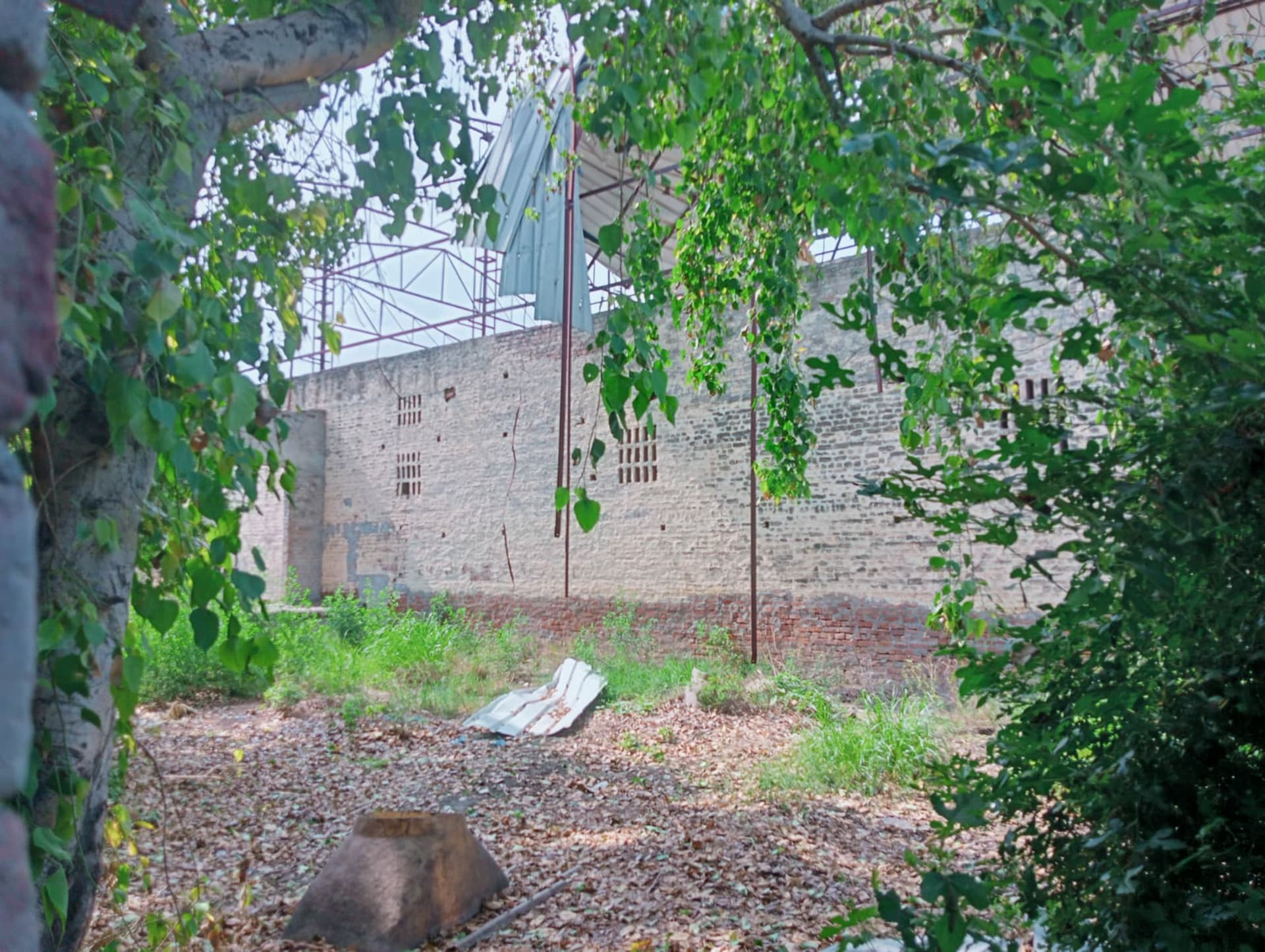 Property Photos 5