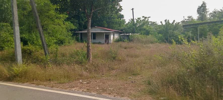 Property Photos 6