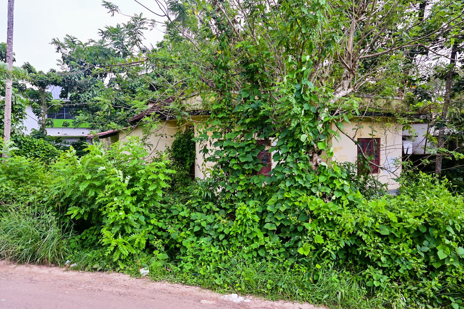 Property Photos 17